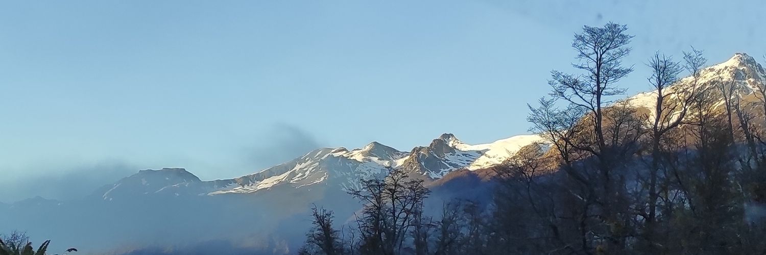 El Chino banner