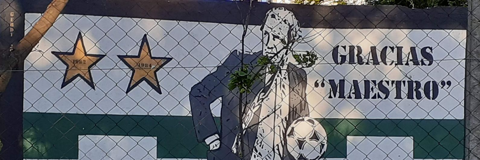 PelaVerdolaga's profile banner image