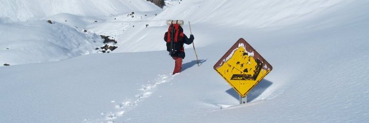 Romy Bernal Díaz banner