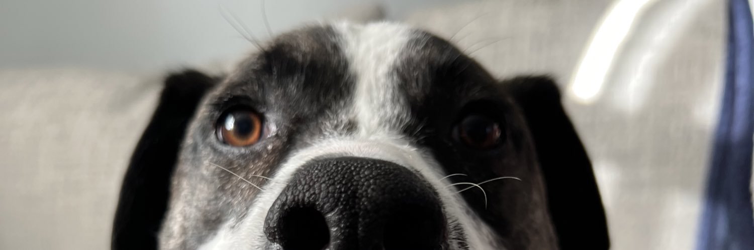 peytonbedford's profile banner image