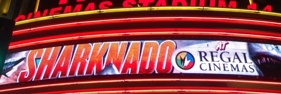 Thunder Levin banner