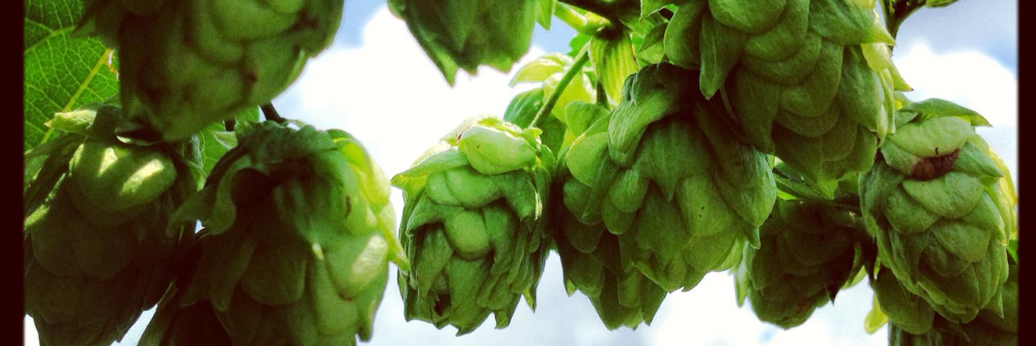 FarmBoyFarms's profile banner image