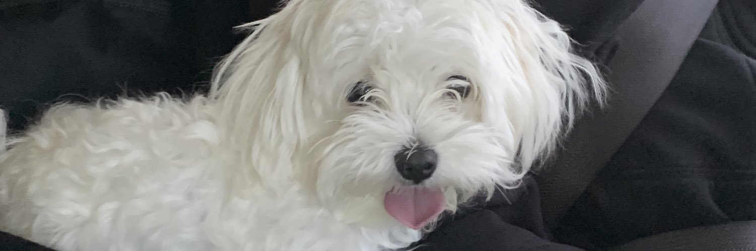 lgrxo__'s profile banner image
