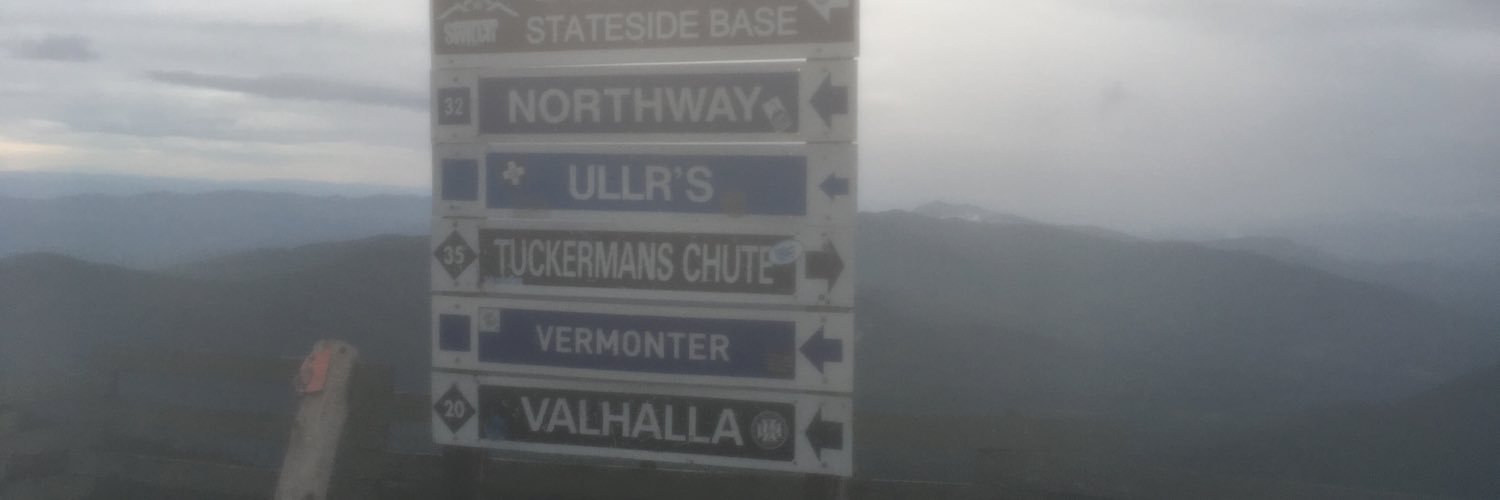 Robyn Bratica banner