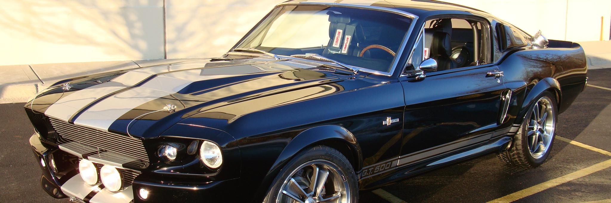 NationalMuscle's profile banner image