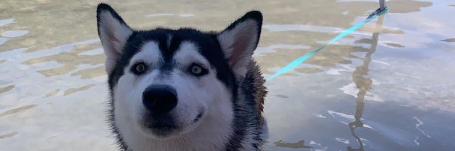 ayyylmark's profile banner image
