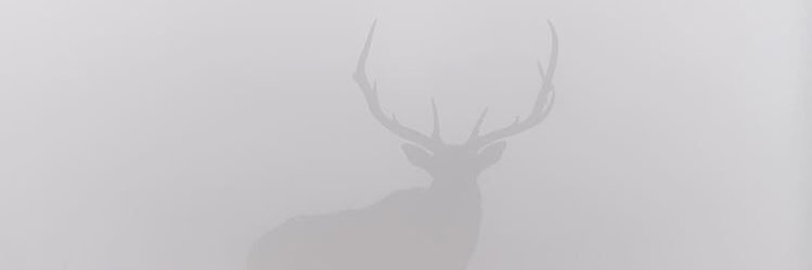 radams_5's profile banner image