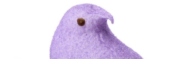 noahg45 Profile Banner