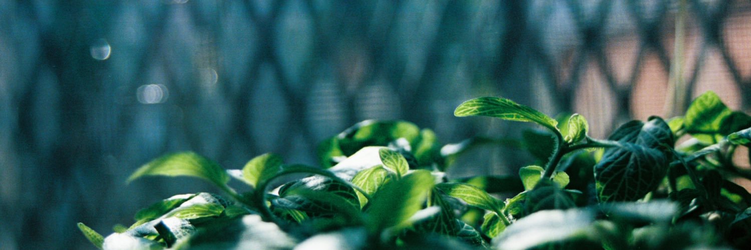 mack_fizzle's profile banner image