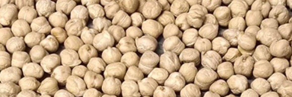 REGINA GRAIN EXPORT INC. banner