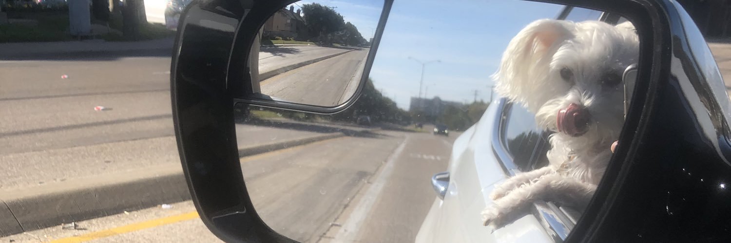 thekaylanelson's profile banner image