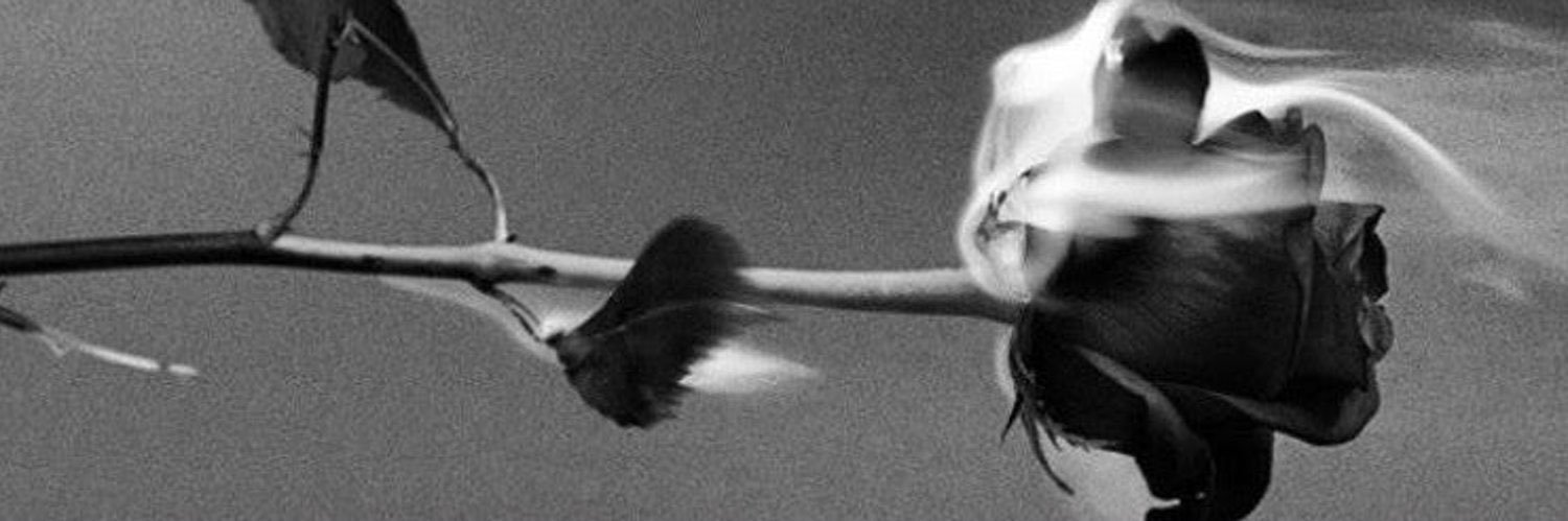 Priscilla Kelly's banner