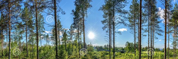 lynns01 Profile Banner