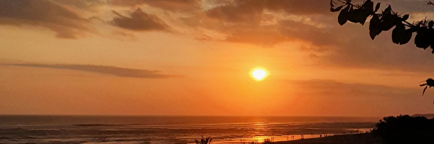 nichochann's profile banner image