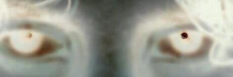 SS_Rex's profile banner image
