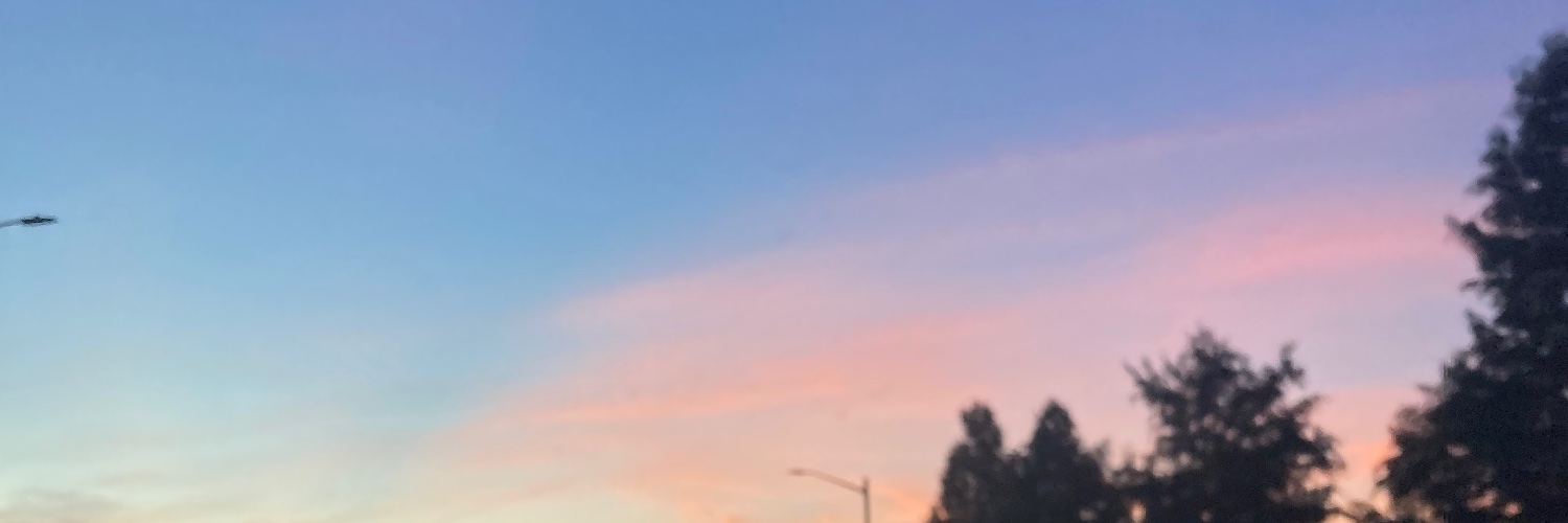 Cynfullylost's profile banner image