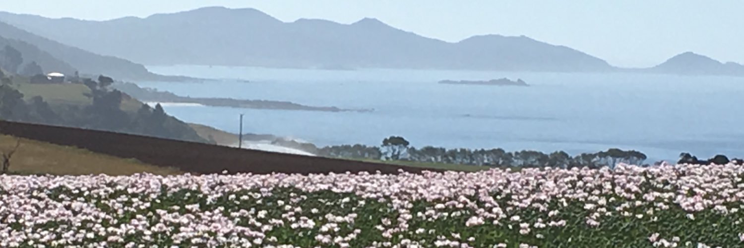 PhilPjt's profile banner image