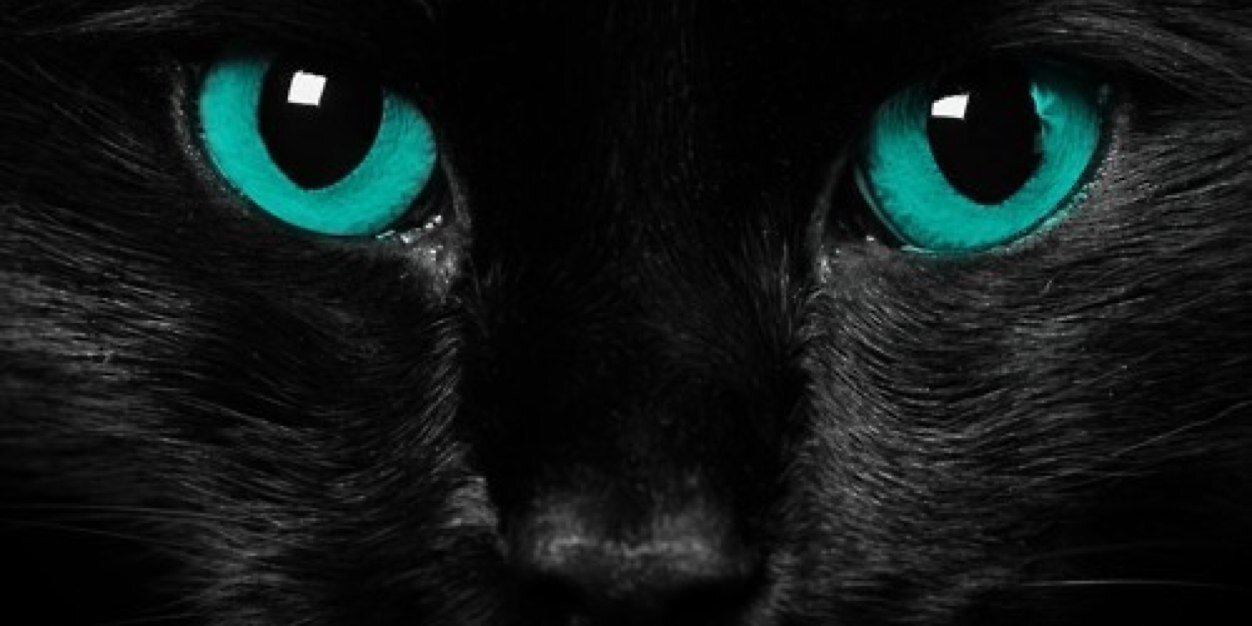 Nicolitsis's profile banner image
