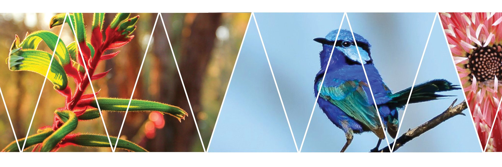 EPA_WA's profile banner image