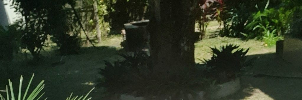 RedilsonGarcez's profile banner image