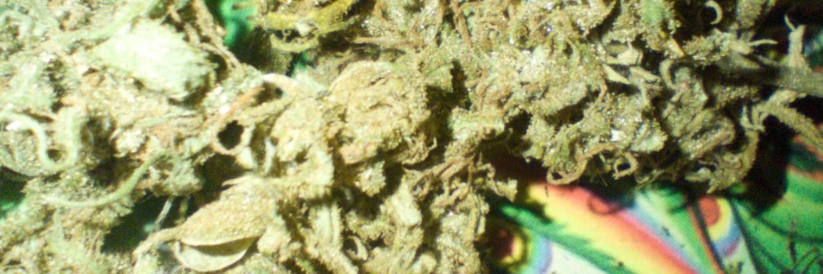 thefasito's profile banner image