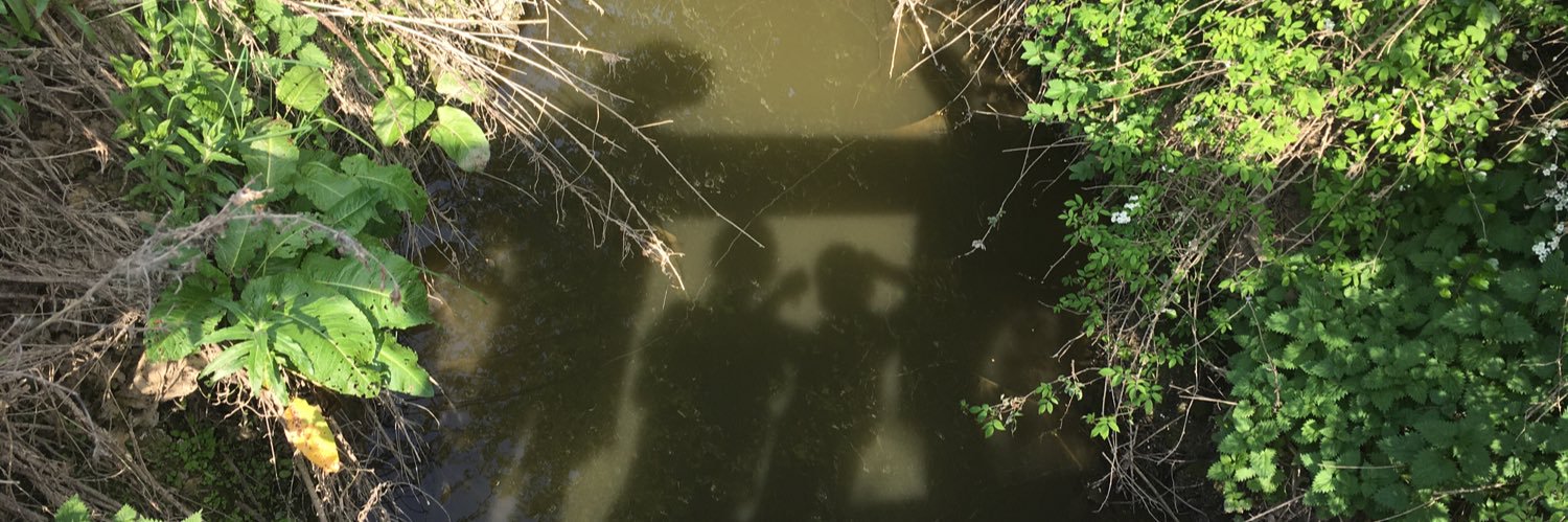 Rebecca Cooper banner