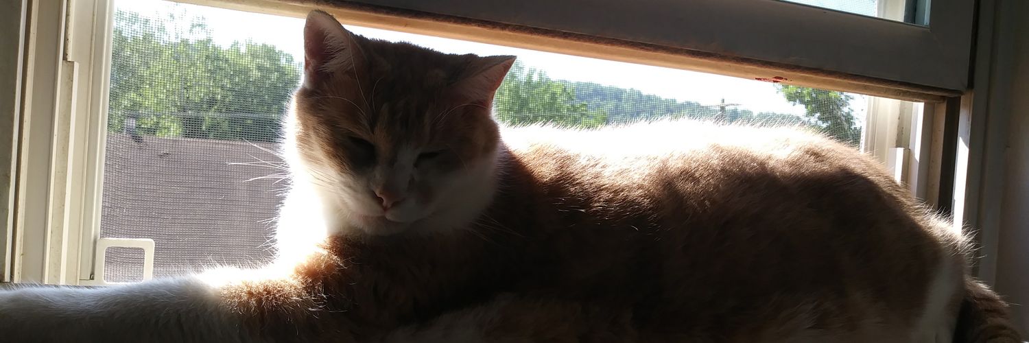 BeezusRenfield's profile banner image