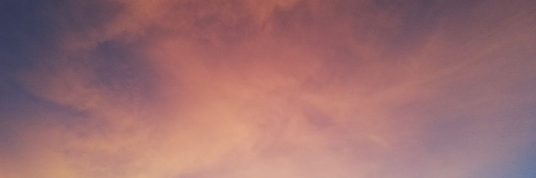 monsemeza's profile banner image