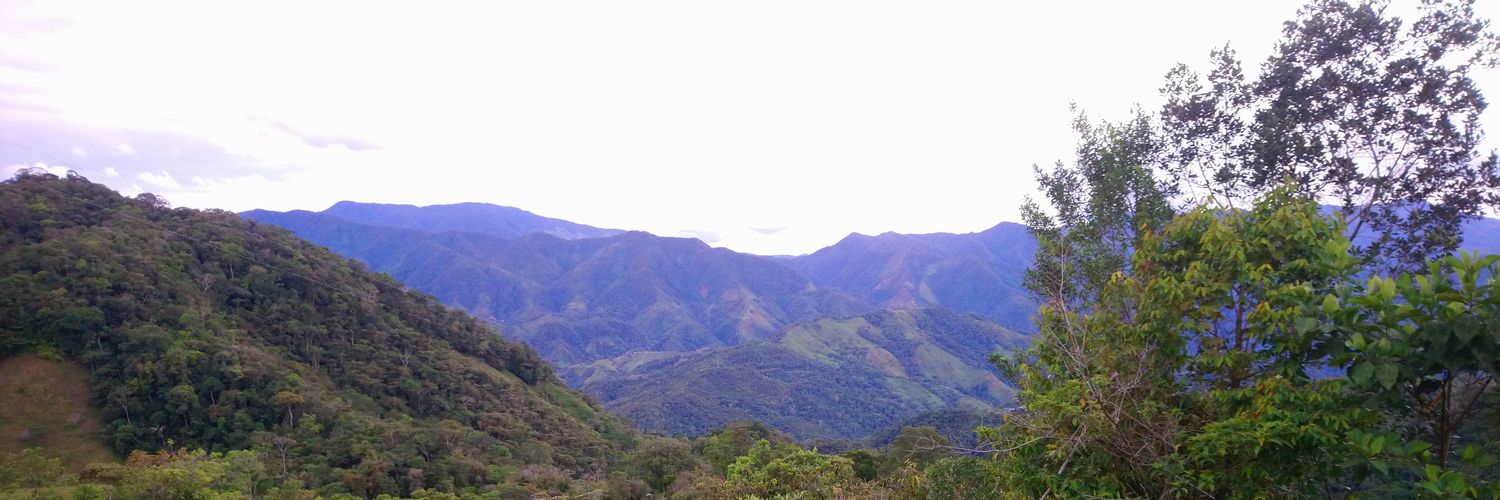 ArbeyNarvaez's profile banner image