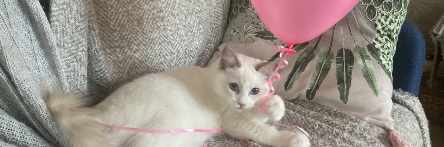 Amanda Riley 💙 banner