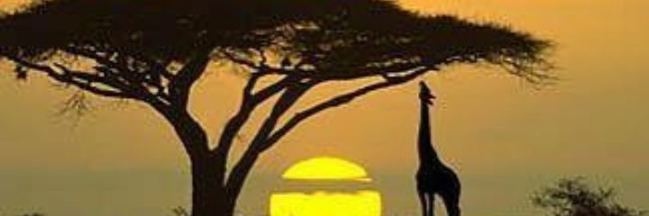 sunaina_s22's profile banner image
