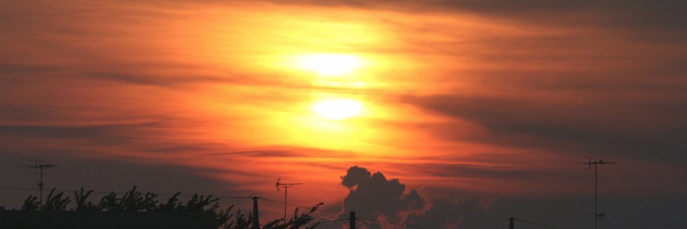 櫻井貴流@551のお膝元💞🦩 banner