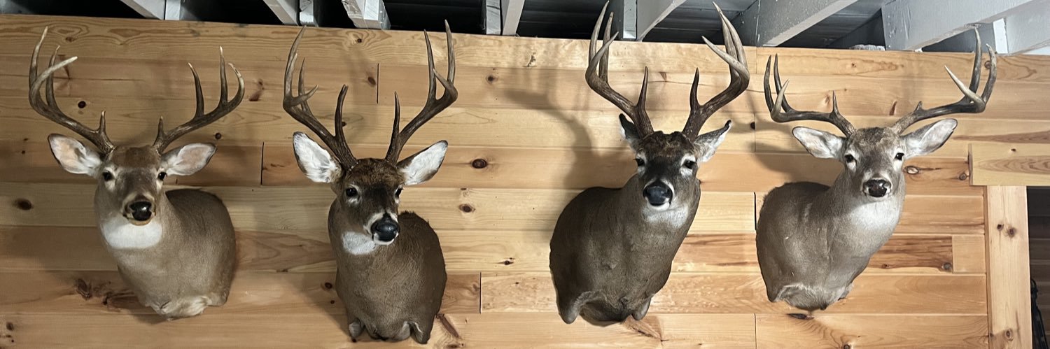 Bumper64's profile banner image