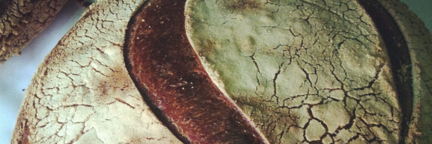 Sonoma Baking Co banner