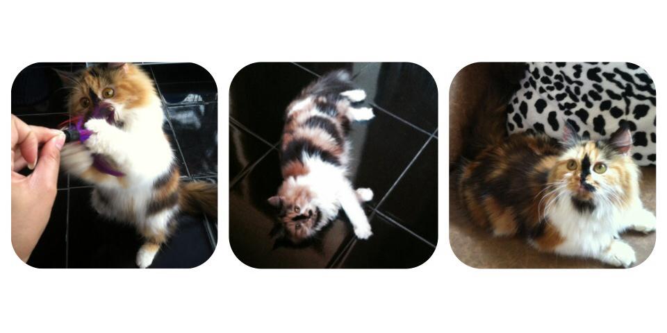 melshaaaaa's profile banner image