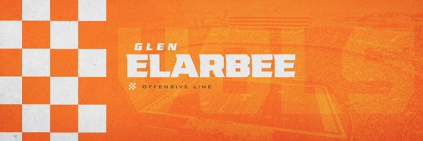 Gelarbee Profile Banner