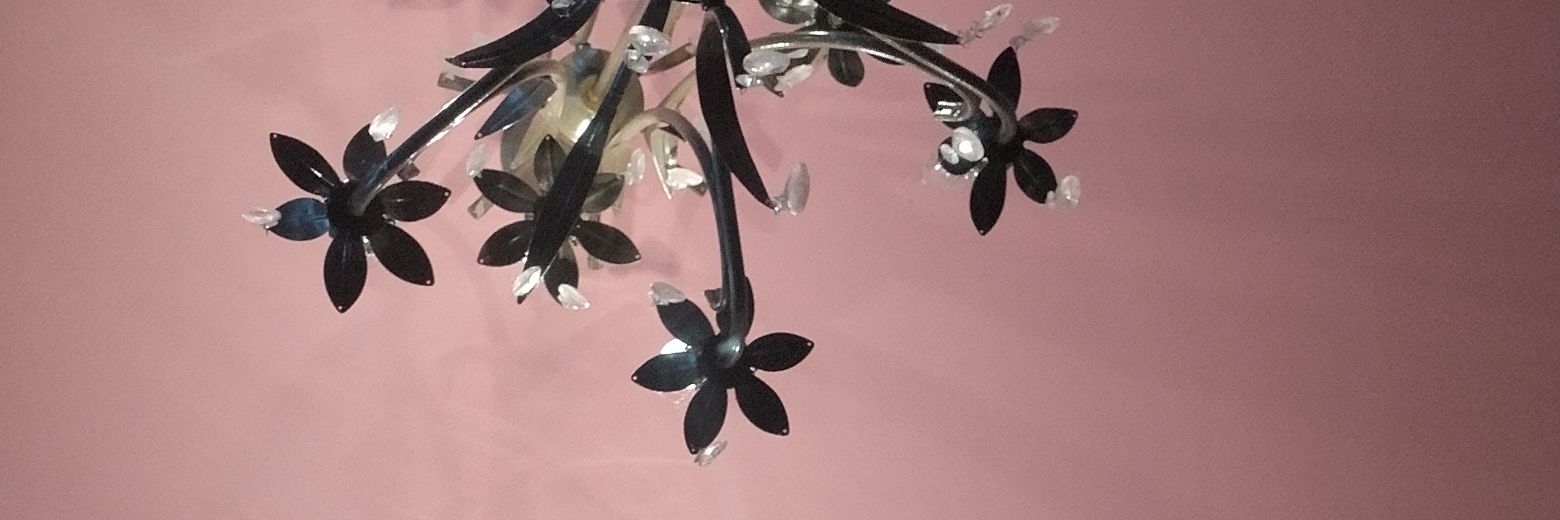 Jessdrosky's profile banner image