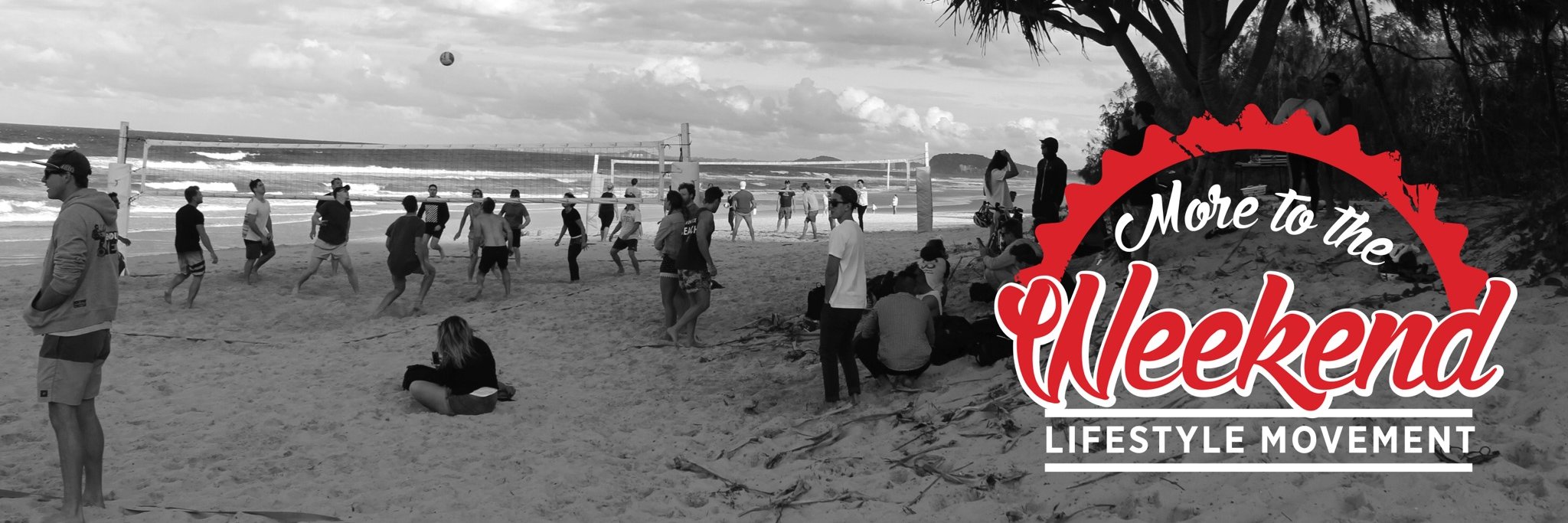 Courtney Angus banner