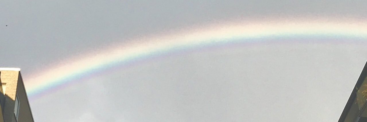 Ssnailsmy's profile banner image