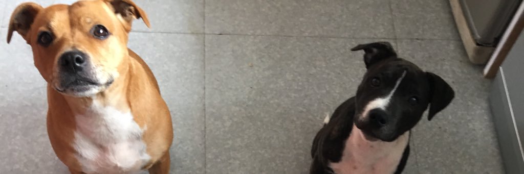 paulinef2811's profile banner image