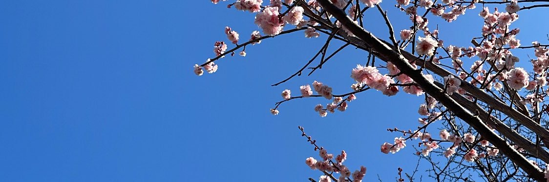 AddictFlowers's profile banner image