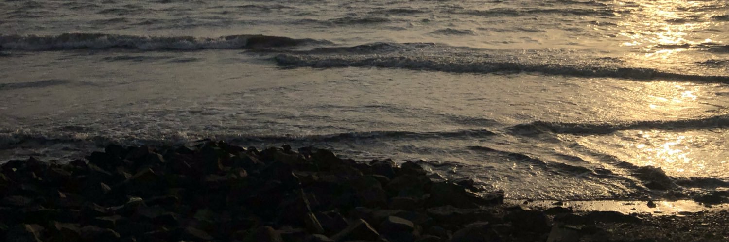 priyankaphayde's profile banner image