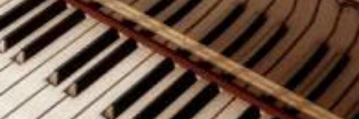 pkemalasari's profile banner image