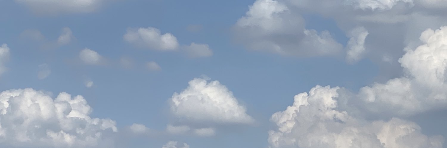 diantyellen's profile banner image