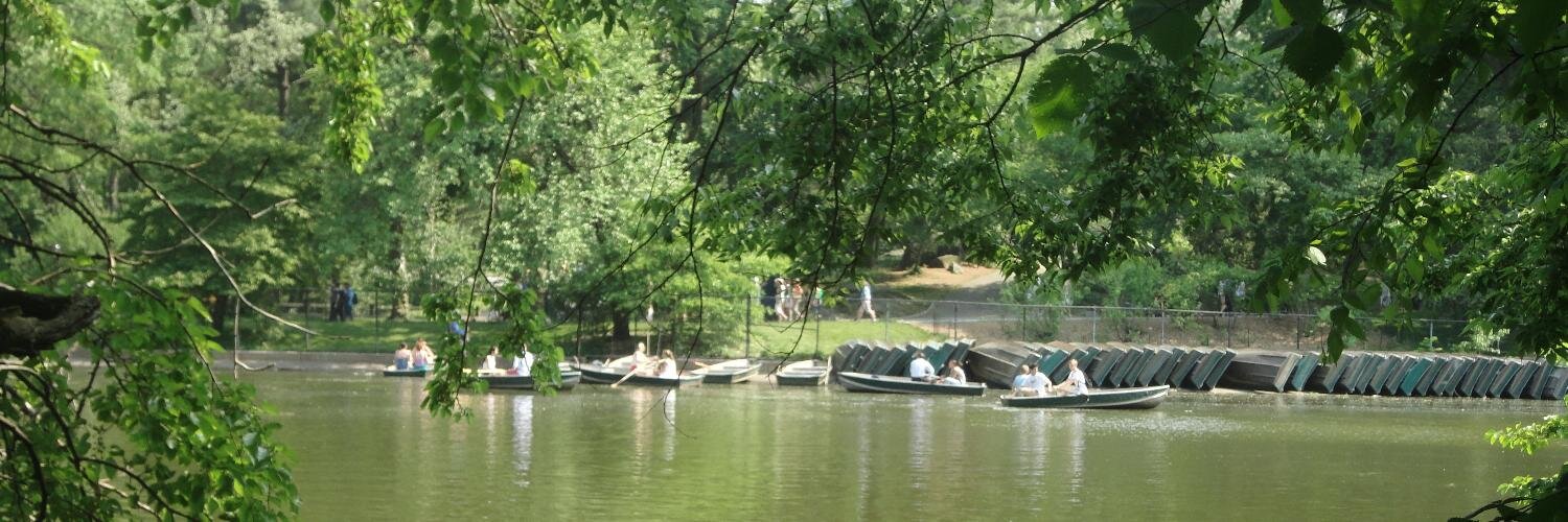 Laura Fernandez banner