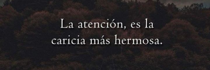 Yizus d la Barrera banner