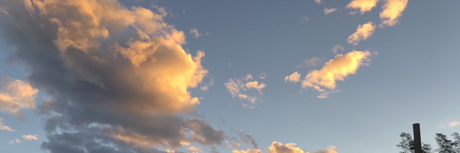 gabibazambuja's profile banner image