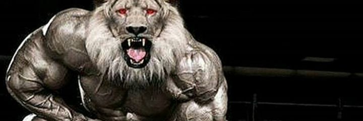 wen0807's profile banner image