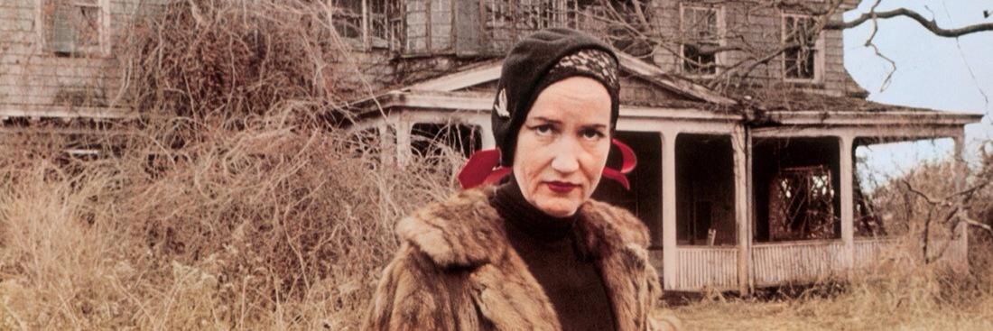 Lauren Franklin banner