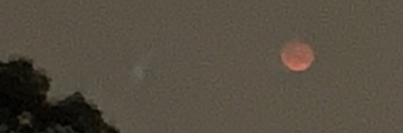 vane_zam's profile banner image